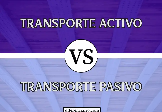 Diferencia entre transporte activo y transporte pasivo