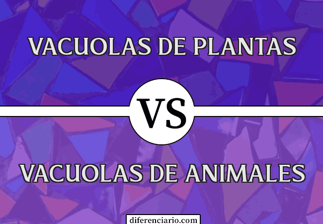 Diferencia entre vacuolas vegetales y vacuolas animales