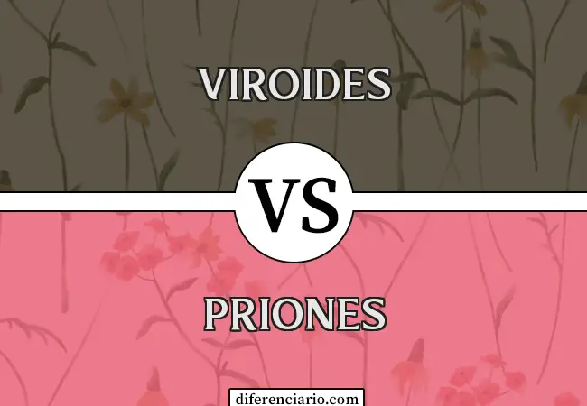 Diferencia entre viroides y priones