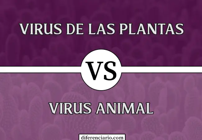 Diferencia entre virus vegetal y virus animal