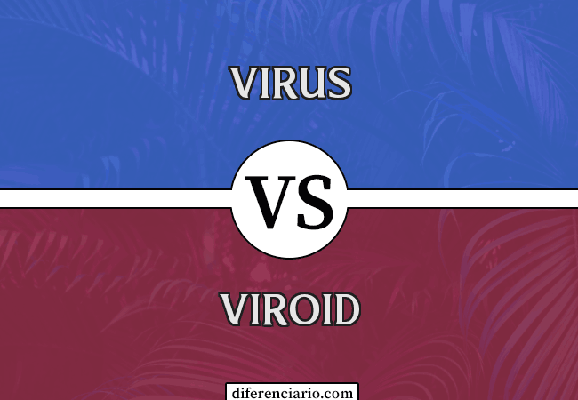 Diferencia entre Virus y Viroide