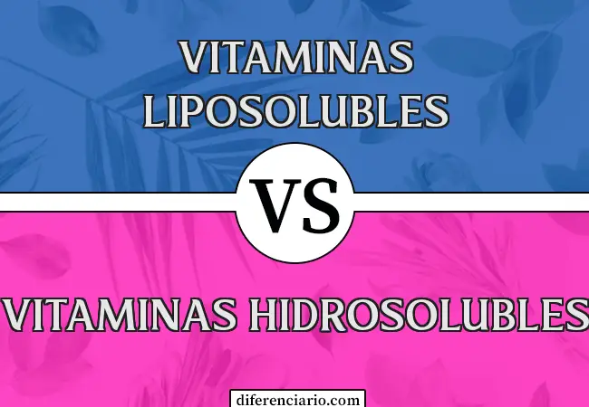 Diferencia entre vitaminas liposolubles y vitaminas hidrosolubles