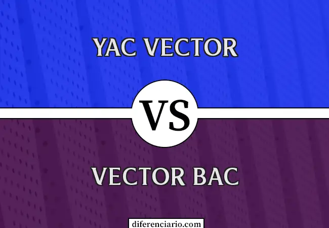 Diferencia entre el vector YAC y el vector BAC