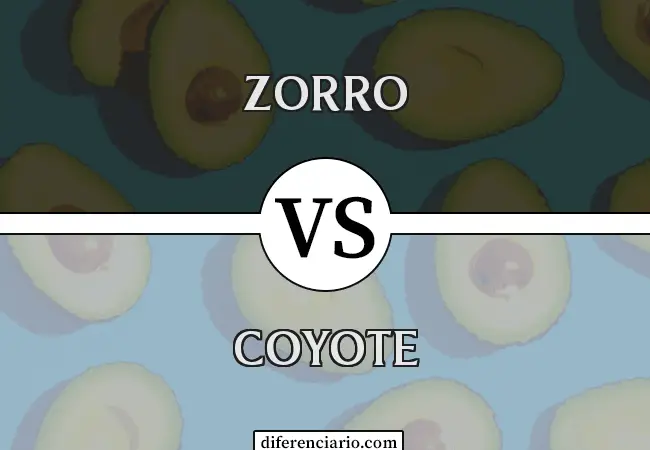 Diferencia entre zorro y coyote